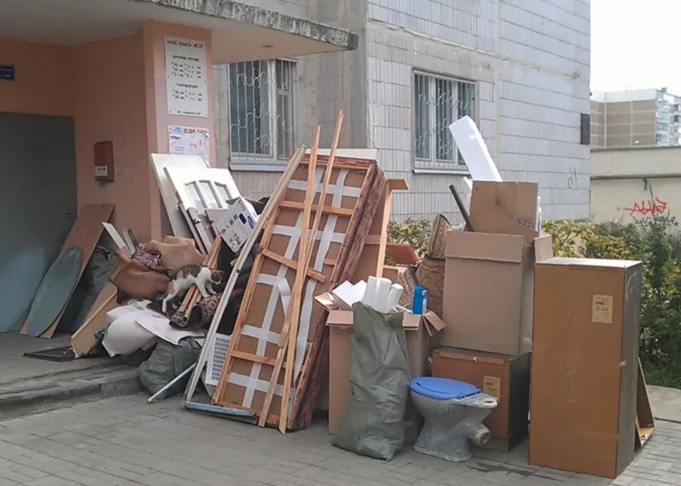 Профессиональный вывоз мусора из квартиры в Ростове-на-Дону в октябре