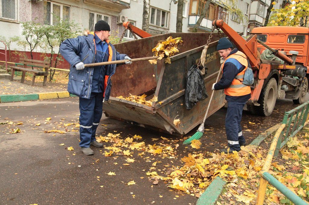 Вывоз опавшей листвы и растительного мусора в Ростове-на-Дону от ПроМусор – цена от 4693 руб., быстрая уборка и утилизация